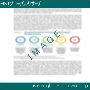 グローバルリサーチ調査レポートのイメージ
